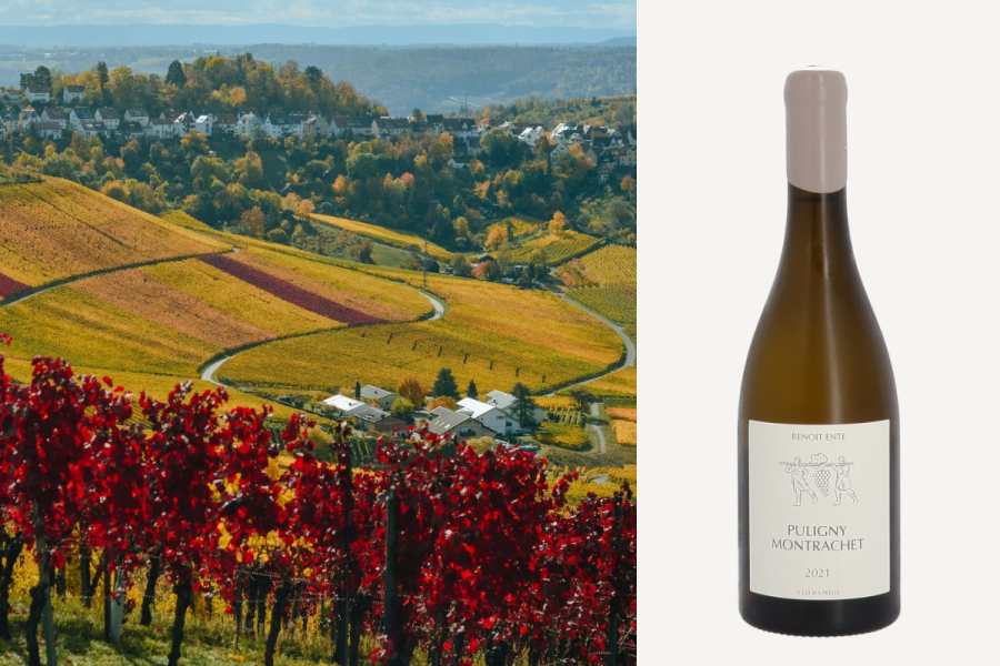 Domaine Benoit Ente