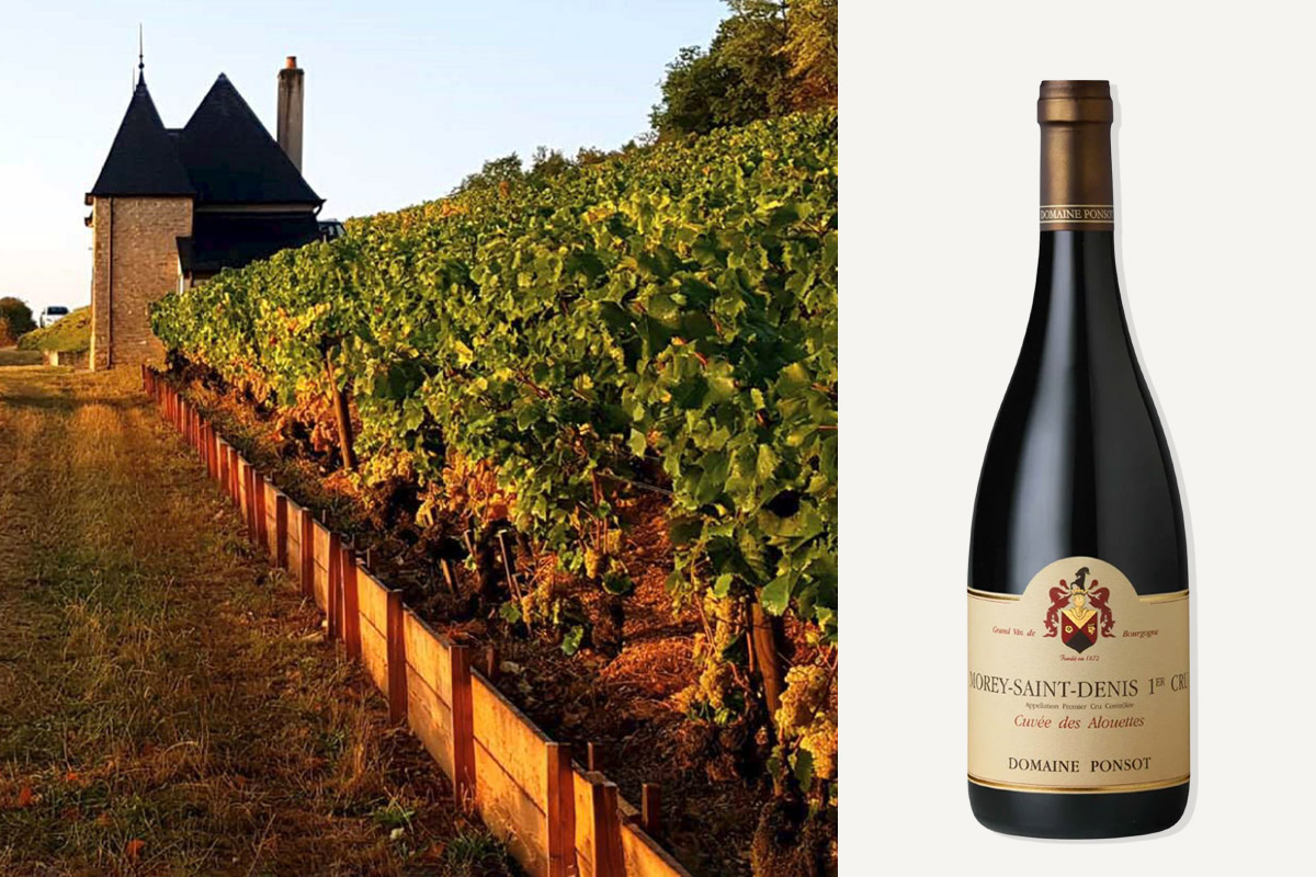 Domaine Ponsot
