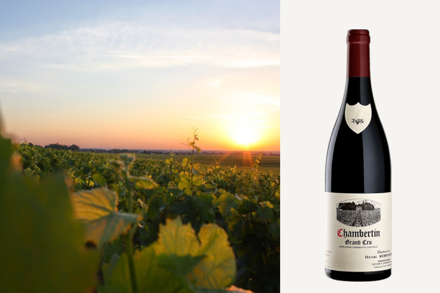 Domaine Rebourseau