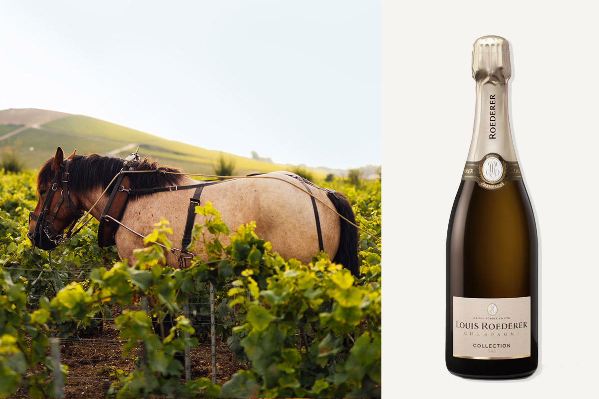 Roederer